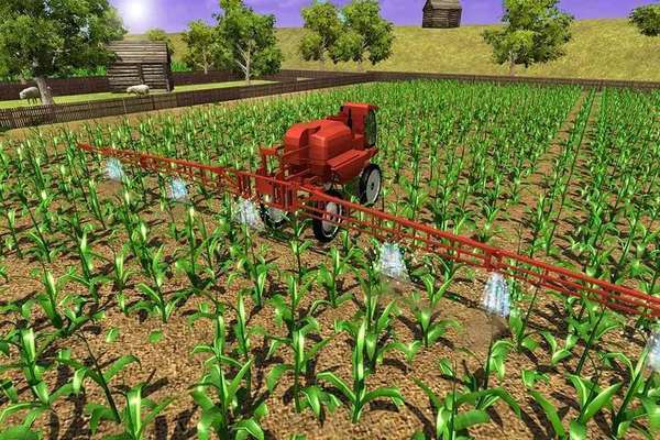 玉米种植模拟器2023