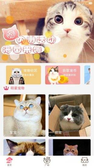 猫咪社区猫咪app